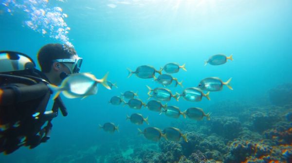 I migliori strumenti subacquei per neofiti che stupiranno